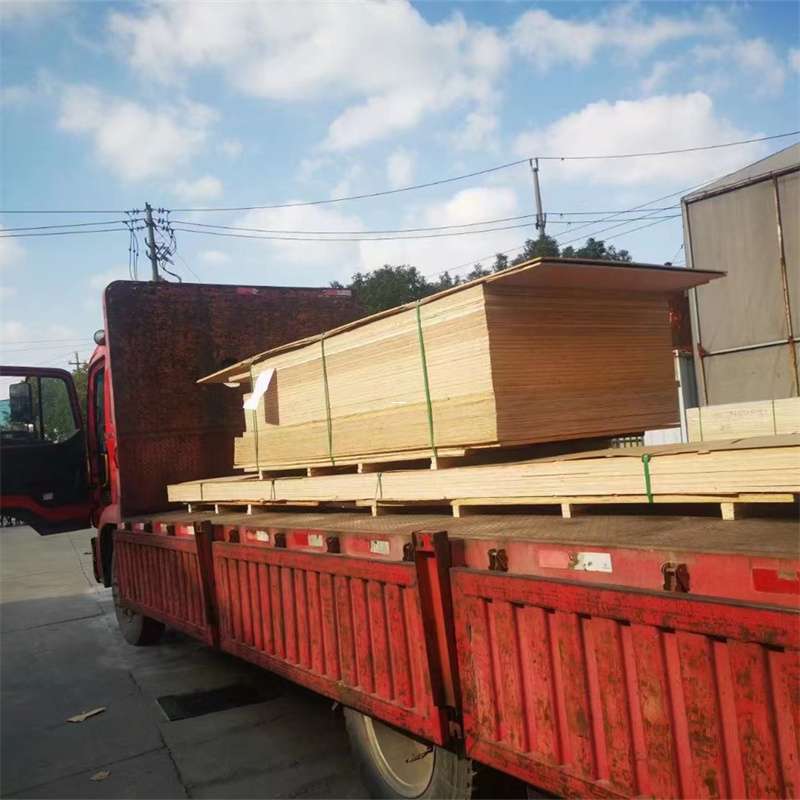 武乡县桥西区物流专线的多元运输世界